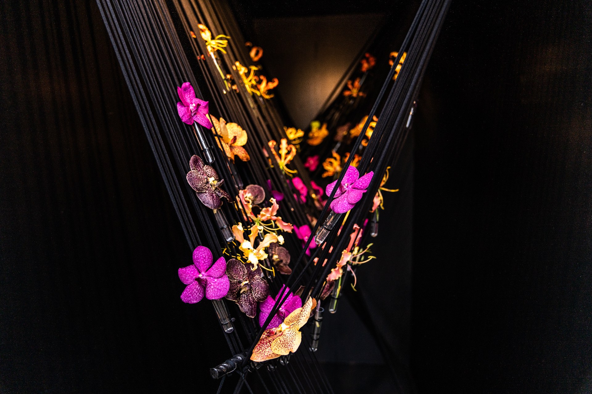 Tom De Houwer’s sculptural orchid installation, with flowers suspended along dark threads